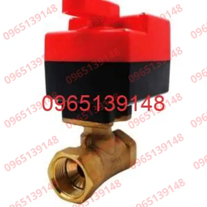 NVMB2020-2B